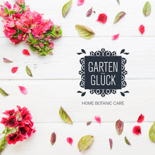 Carica l&#39;immagine nel visualizzatore di Gallery, Concime piante grasse by Garten Glück Kakteenspray | Fertilizzante piante... - Ilgrandebazar