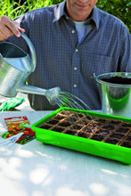 Carica l&#39;immagine nel visualizzatore di Gallery, Romberg Vaso da Coltivazione Quadrato, 5 cm, 144 vasetti - Ilgrandebazar