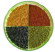 Carica l&#39;immagine nel visualizzatore di Gallery, Geo TZZ0870 Plus Germogliatore (Senza Bpa) 20.5x20.5x23 cm, Verde