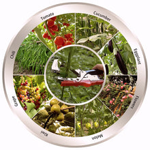 Carica l&#39;immagine nel visualizzatore di Gallery, AOSOME ASAP 1618 Legatrice per Piante - Attrezzo Tapener da 604C, Rosso - Ilgrandebazar