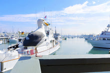 Carica l&#39;immagine nel visualizzatore di Gallery, ISOTRONIC dispositivi di allontanamento uccelli a batteria a ultrasuoni...