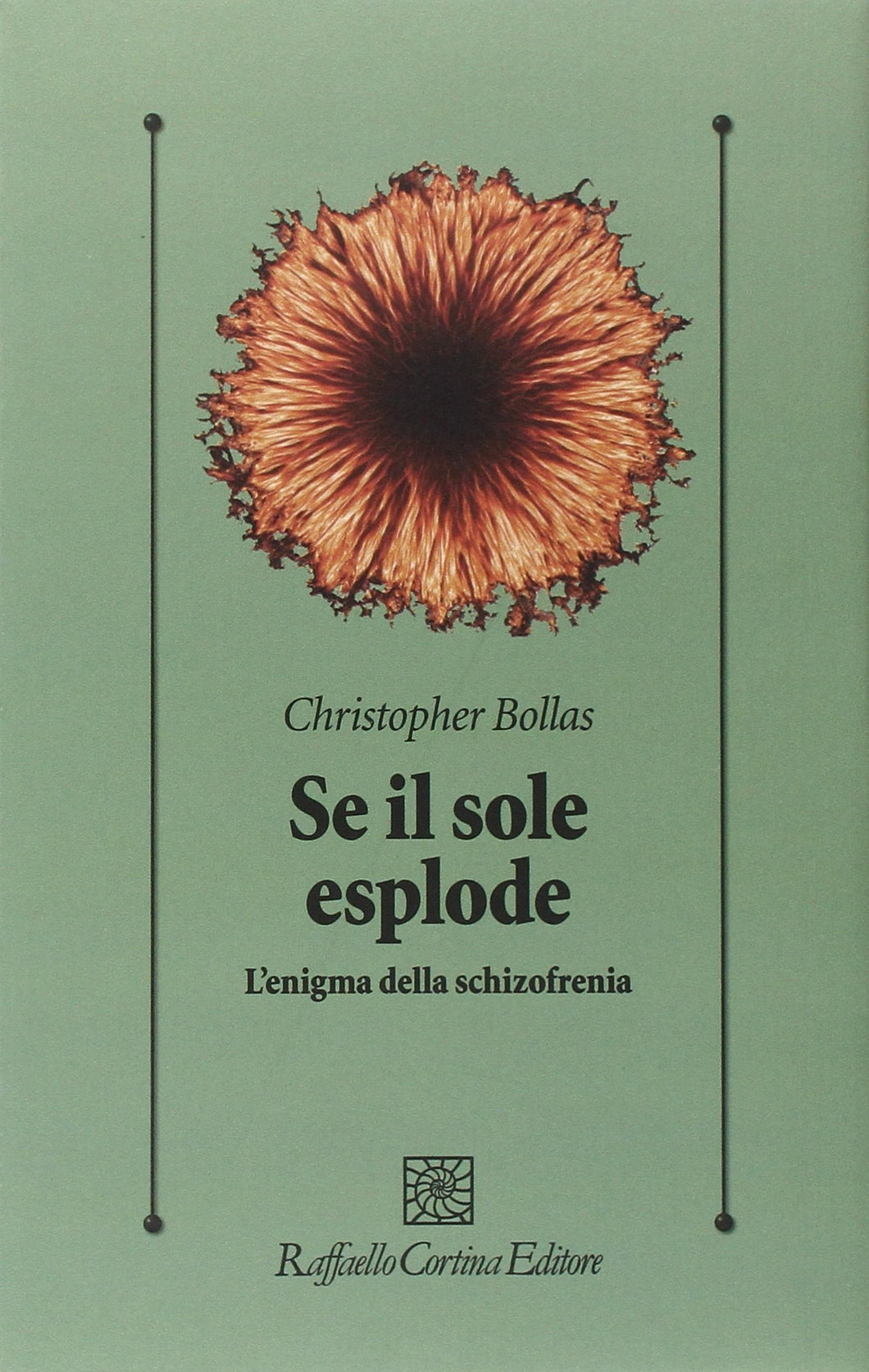 Se il sole esplode. L'enigma della schizofrenia - Ilgrandebazar