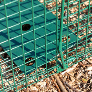 Maxx Trappola di Cattura infallibile - Pieghevole - Gabbia - per Piccoli M - Ilgrandebazar