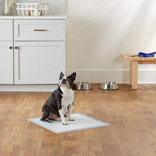Carica l'immagine nel visualizzatore di Gallery, Amazon Basics - Tappetini igienici assorbenti per animali domestici, misura standard, 100 pz Pacco da 100 Regular Single