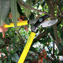 Carica l&#39;immagine nel visualizzatore di Gallery, Troncarami Cesoie Potatura Giardinaggio GRIZZLY di 470 mm, Giallo, Verde - Ilgrandebazar