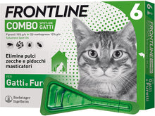 Carica l'immagine nel visualizzatore di Gallery, 1