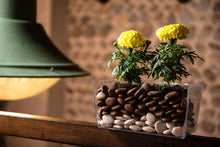 Carica l&#39;immagine nel visualizzatore di Gallery, Teraplast Coimbra 25cm Fioriera, Trasparente, 25 cm 25 cm, Trasparente - Ilgrandebazar