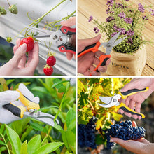 Carica l'immagine nel visualizzatore di Gallery, Wodasi Cesoie da Potatura, 3 Pezzi Forbici Potatura Professionali, Forbice Giardino, Forbice da potatura Multiuso Lama Curva Forbici da Fiori per Giardino, Cesoie per Giardinaggio con Acciaio Inox