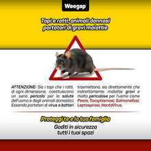 Carica l&#39;immagine nel visualizzatore di Gallery, Veleno per Topi e Ratti, Esca Topicida Ratticida Professionale Potente, Novità Aroma all&#39;Anice, Uso Esterno Interno Casa, Disinfestazione Rimedi Eliminare Roditori Azione Forte BlockRat - 300 g