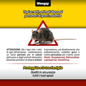 Veleno per Topi e Ratti, Esca Topicida Ratticida Professionale Potente, Novità Aroma all'Anice, Uso Esterno Interno Casa, Disinfestazione Rimedi Eliminare Roditori Azione Forte BlockRat - 300 g