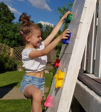 Carica l&#39;immagine nel visualizzatore di Gallery, Cateam Prese d&#39;arrampicata per Bambini - 24psc - 8 Colori - con Hardware di Installazione sicura. Rocce da Arrampicata in plastica Ruvida Spessa con 2 Maniglie Bonus Incluse.