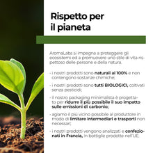 Carica l'immagine nel visualizzatore di Gallery, BIO - Olio essenziale MENTA PIPERITA - 30mL - 100% Puro, Naturale, Chemiotipizzato e Certificato AB - AROMA LABS (Marchio Francese)