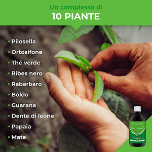 Drenante Dietyslim | Elimina le Tossine e i Liquidi | Effetto Detox