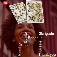 Carica l'immagine nel visualizzatore di Gallery, PIC Trappola Anti Tarme del Cibo - Confezione da 3 Buste con Due trappole = 6 Pezzi – Trappola di Colla per farfalline del Cibo, trappole ai feromoni acchiappa tarme Alimentari