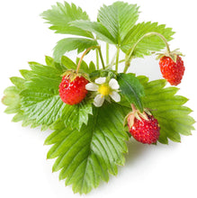 Carica l&#39;immagine nel visualizzatore di Gallery, Click &amp; Grow 4742793006536 Strawberry Refill 3-Pack, Verde, 7x7x21 cm