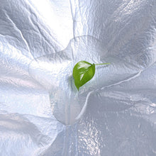 Carica l&#39;immagine nel visualizzatore di Gallery, SONGMICS GCM50K - Coperta da Picnic, 195 x 150 cm, Impermeabile