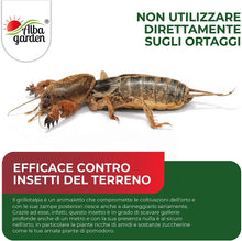 Carica l&#39;immagine nel visualizzatore di Gallery, 3