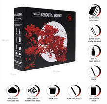 Carica l&#39;immagine nel visualizzatore di Gallery, Panekoo Coltivare il Proprio Kit Bonsai Set Regalo di Giardinaggio - Coltiva... - Ilgrandebazar
