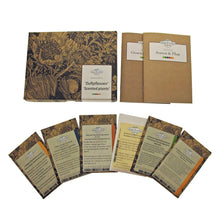 Carica l&#39;immagine nel visualizzatore di Gallery, Piante profumate - set regalo di semi con 6 piante da fiore piacevolmente... - Ilgrandebazar