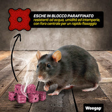 Carica l&#39;immagine nel visualizzatore di Gallery, Veleno per Topi e Ratti, Esca Topicida Ratticida Professionale Potente, Novità Aroma all&#39;Anice, Uso Esterno Interno Casa, Disinfestazione Rimedi Eliminare Roditori Azione Forte BlockRat - 300 g