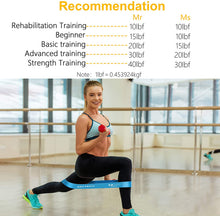 Carica l'immagine nel visualizzatore di Gallery, Gritin Elastici Fitness, [Set di 5] Banda Elastica Fasce Elastiche di Resistenza di Lattice con Istruzioni per l'esercizio in Italiano e Borsa per Il Trasporto per Crossfit, Yoga, Pilates Nero-Rosa-Giallo-Blu-Verde