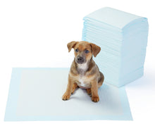 Carica l&#39;immagine nel visualizzatore di Gallery, AmazonBasics - Tappetini igienici assorbenti per animali Pacco da 100, Blu - Ilgrandebazar