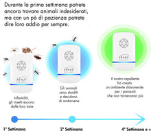 Carica l'immagine nel visualizzatore di Gallery, 4
