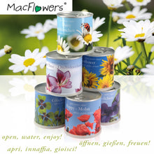 Carica l&#39;immagine nel visualizzatore di Gallery, Extragifts Fiori in lattina Set - 3 piante da cucina italiana multicolore - Ilgrandebazar