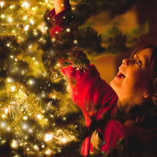 Carica l'immagine nel visualizzatore di Gallery, Catene Luminose 12m, OMERIL Luci Stringa 120 LEDs Illuminazione Giardino con Interruttori, Impermeabile Catena di Luci per Interni e Esterni, Casa, Feste, Matrimonio, DIY, Natale (Bianco Caldo)