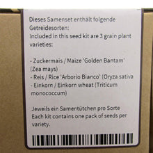 Carica l&#39;immagine nel visualizzatore di Gallery, Assortimento di cereali - set regalo semi con 3 specie antichi... - Ilgrandebazar