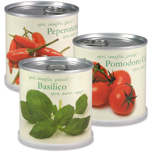 Extragifts Fiori in lattina Set - 3 piante da cucina italiana multicolore - Ilgrandebazar