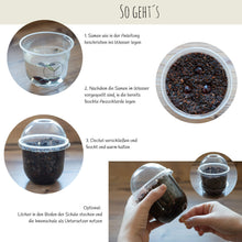 Carica l&#39;immagine nel visualizzatore di Gallery, GROW2GO Bonsai Kit incl. eBook GRATUITO - Starter Set con mini Wisteria - Ilgrandebazar