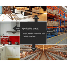 Carica l&#39;immagine nel visualizzatore di Gallery, O-Kinee Trappola per Topi, 4 Pezzi Trappole Topi Assassini Sensibili, 4pcs - Ilgrandebazar