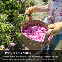Carica l&#39;immagine nel visualizzatore di Gallery, Olio Essenziale Puri Naturali - ISUDA Oli Essenziali Set 100% per Diffusori Ultrasuoni Aromatherapie 6 Sapori Lavanda, Tea Tree, Eucalipto, Limone, Arancia Dolce, Menta Piperita