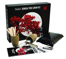 Carica l&#39;immagine nel visualizzatore di Gallery, Panekoo Coltivare il Proprio Kit Bonsai Set Regalo di Giardinaggio - Coltiva... - Ilgrandebazar