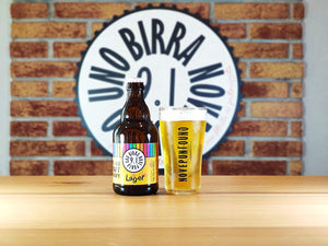BOX DEGUSTAZIONE GIRO DEL MONDO IN 12 BIRRE- BOX da 12 bottiglie di birra artigianale Italiana da 33 cl FORMATO da 6 differenti stili di birra, 1/2 bottiglie per ogni stile.