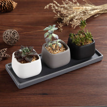 Carica l&#39;immagine nel visualizzatore di Gallery, T4U 7CM Ceramica Moderno Mini Piazza Succulento X-Small, Piccolo Vaso: