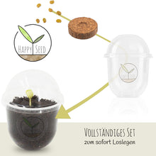 Carica l&#39;immagine nel visualizzatore di Gallery, GROW2GO Bonsai Kit incl. eBook GRATUITO - Starter Set con mini Wisteria - Ilgrandebazar