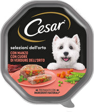 Carica l'immagine nel visualizzatore di Gallery, 1