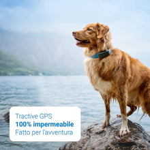 Carica l&#39;immagine nel visualizzatore di Gallery, Tractive Localizzatore GPS per cani, a Portata illimitata, Monitoraggio dell&#39;attività, Impermeabile (Ultimo modello)