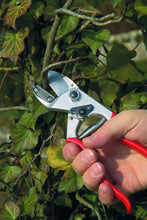 Carica l&#39;immagine nel visualizzatore di Gallery, FELCO 6996010 Forbici per Potatura - Ilgrandebazar