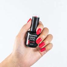 Carica l&#39;immagine nel visualizzatore di Gallery, Smalto Semipermanente per Unghie • Gel UV LED 6 Colori • Kit Rouge - Ilgrandebazar
