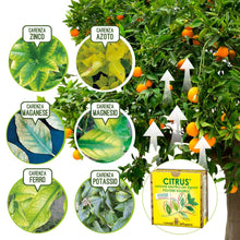 Carica l&#39;immagine nel visualizzatore di Gallery, I Consigli Dell&#39;Esperto Citrus Concime Minerale Specifico per Agrumi - Ilgrandebazar