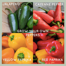 Carica l&#39;immagine nel visualizzatore di Gallery, Kit Semi Peperoncino Peperoni Piccante Set Di Coltivare Peperoncini... - Ilgrandebazar