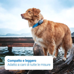 Tractive Localizzatore GPS per cani, a Portata illimitata, Monitoraggio dell'attività, Impermeabile (Ultimo modello)