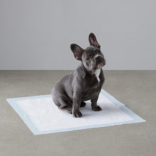 Carica l'immagine nel visualizzatore di Gallery, Amazon Basics - Tappetini igienici assorbenti per animali domestici, misura standard, 100 pz Pacco da 100 Regular Single