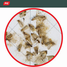 Carica l'immagine nel visualizzatore di Gallery, PIC Trappola Anti Tarme del Cibo - Confezione da 3 Buste con Due trappole = 6 Pezzi – Trappola di Colla per farfalline del Cibo, trappole ai feromoni acchiappa tarme Alimentari