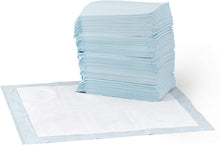 Carica l'immagine nel visualizzatore di Gallery, Amazon Basics - Tappetini igienici assorbenti per animali domestici, misura standard, 100 pz Pacco da 100 Regular Single