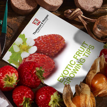 Carica l&#39;immagine nel visualizzatore di Gallery, Thompson &amp; Morgan Crescere Kit Regalo Scatole - Esotico Frutta - Ilgrandebazar