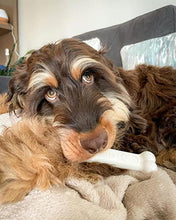 Carica l'immagine nel visualizzatore di Gallery, Nylabone Osso masticabile Extreme Chew Bone | Giocattolo masticabile per l'igiene Dentale dei Cani | Gusto Pollo | Large | per Cani Fino a 23 kg